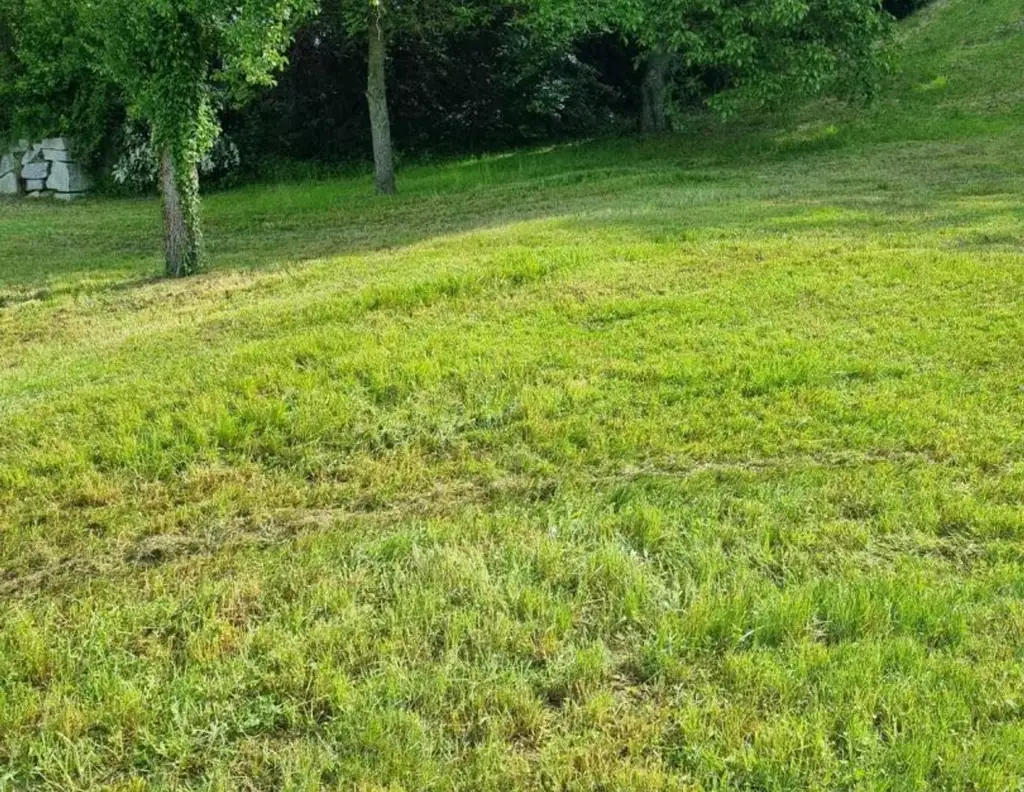 Baugrundstück in 4111 Walding