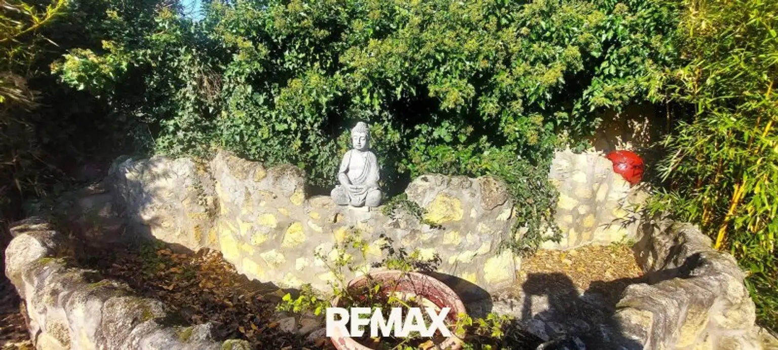 Garten Blick auf