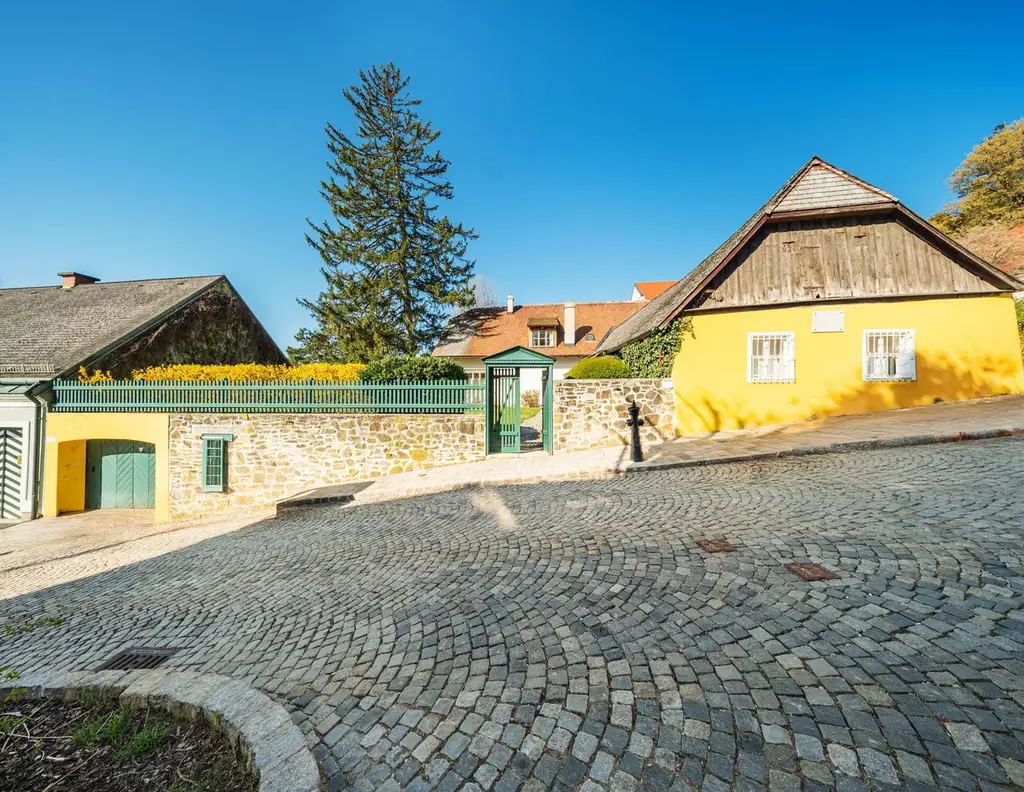 Die Strauß-Villa in Döbling