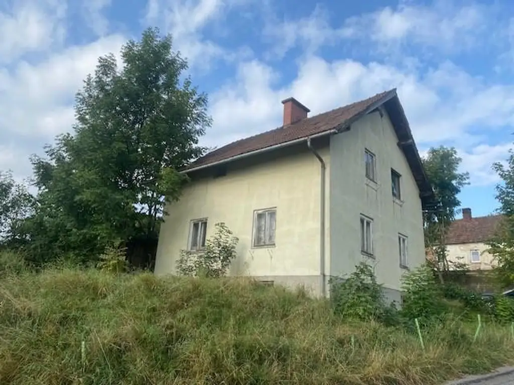 Handwerkerkönig gesucht! Abbruchobjekt, Bauland, Wiese und Wald!