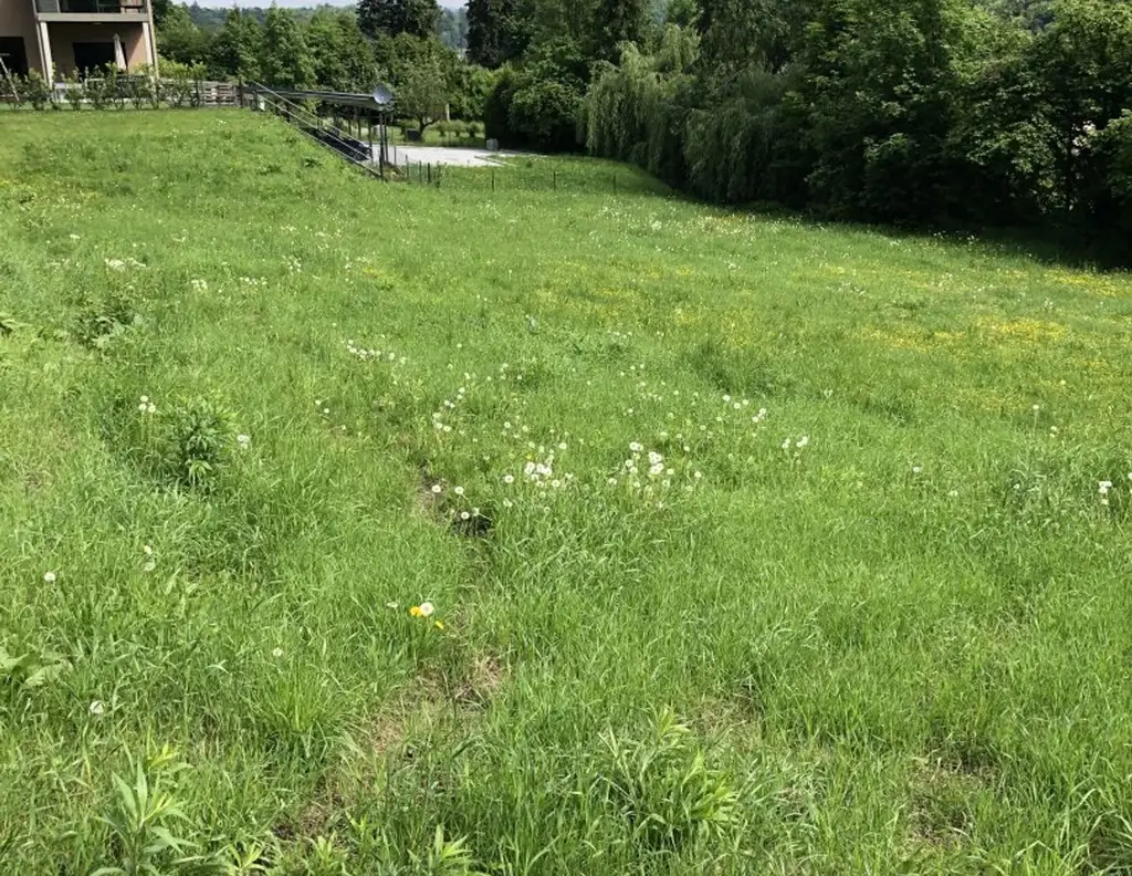 805 m² Grundstück direkt am RADWEG, aufgeschlossen, SONNENLAGE 8051 GÖSTING