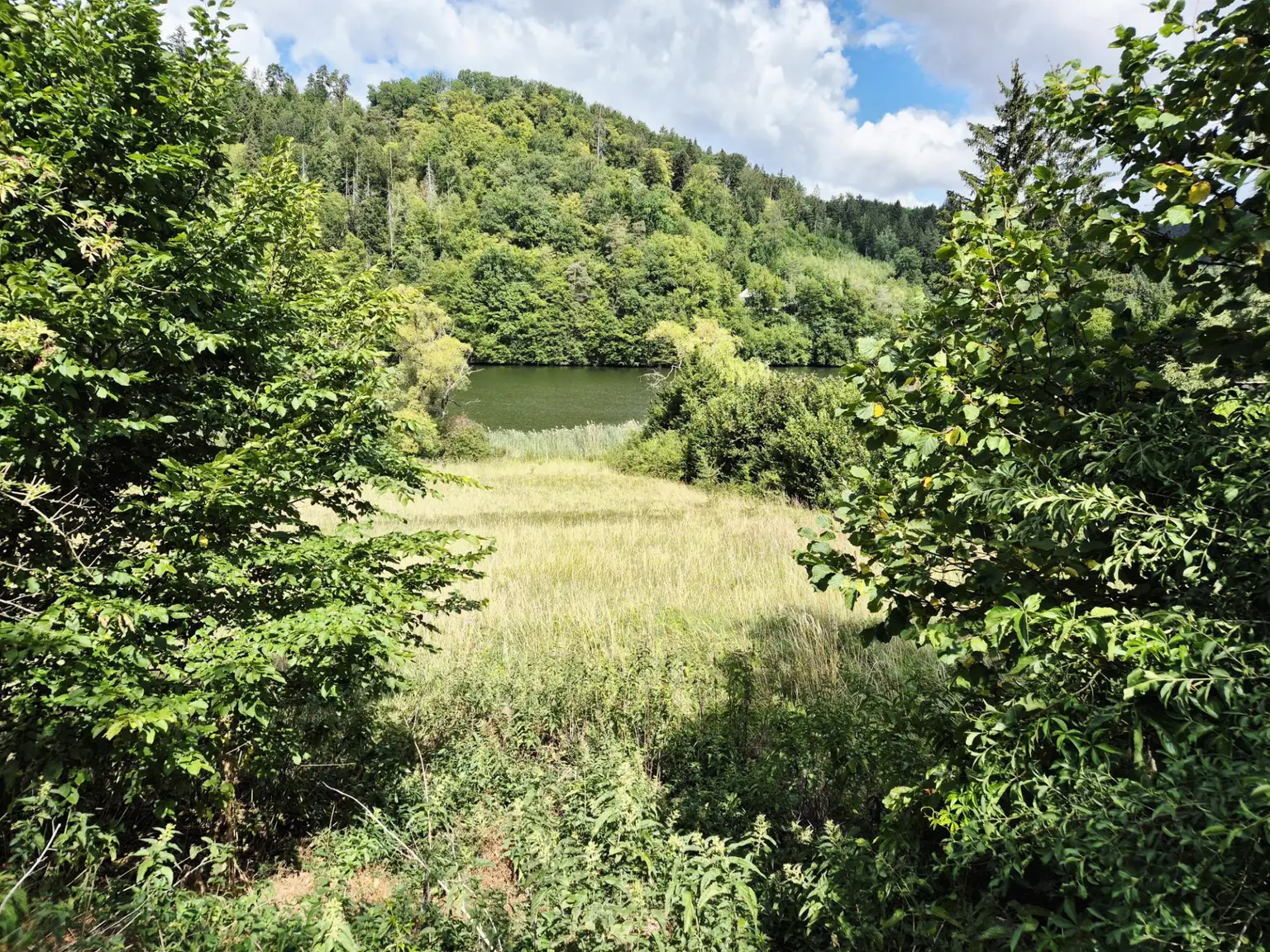 Ansicht I