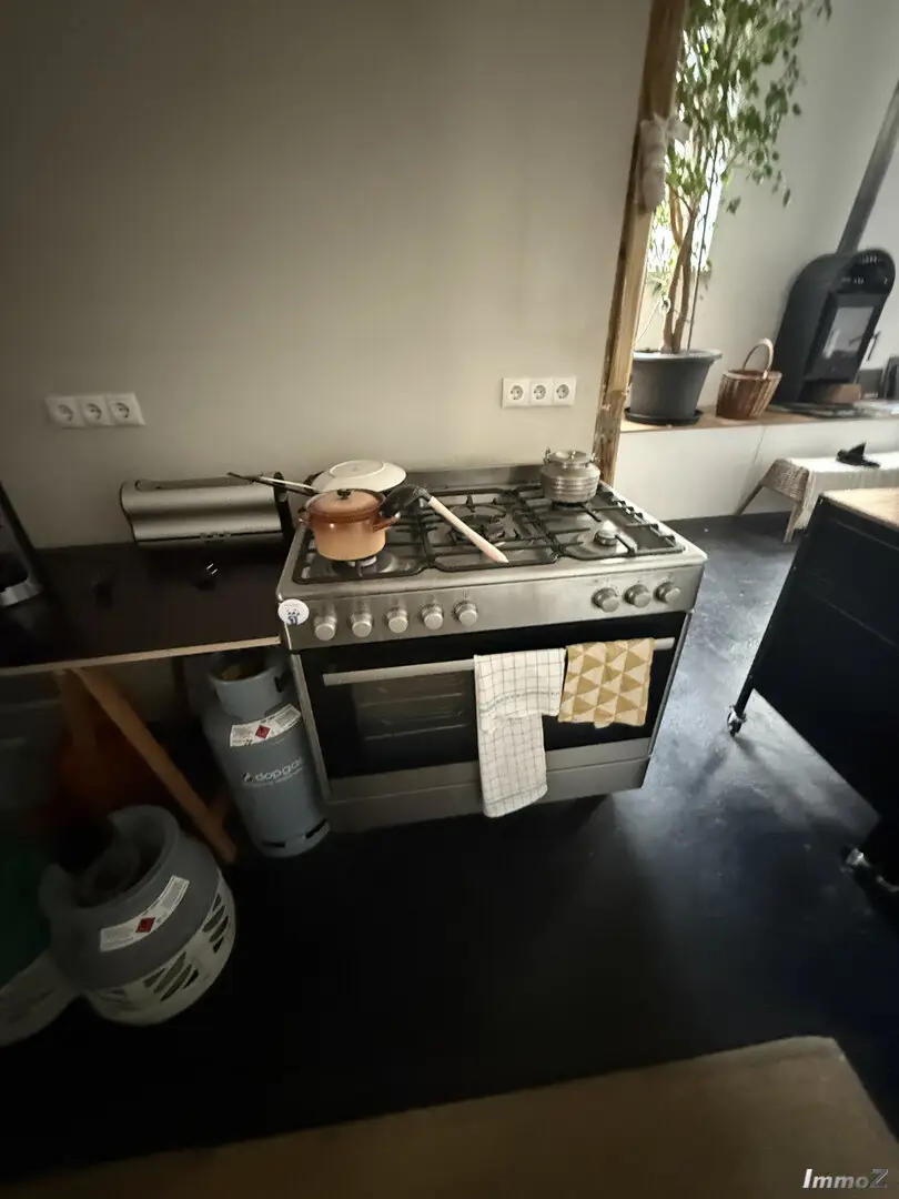 20250121_115547205_iOS