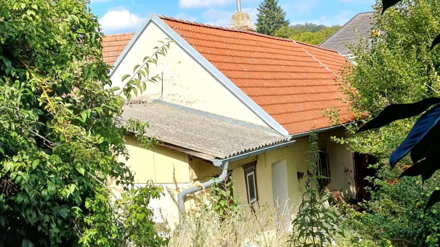 burgenländischer Streckhof - Baugrund mit Altbestand, Abriss o. Sanierung