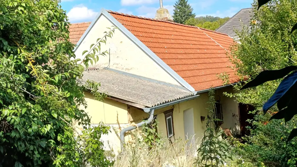 burgenländischer Streckhof - Baugrund mit Altbestand, Abriss o. Sanierung