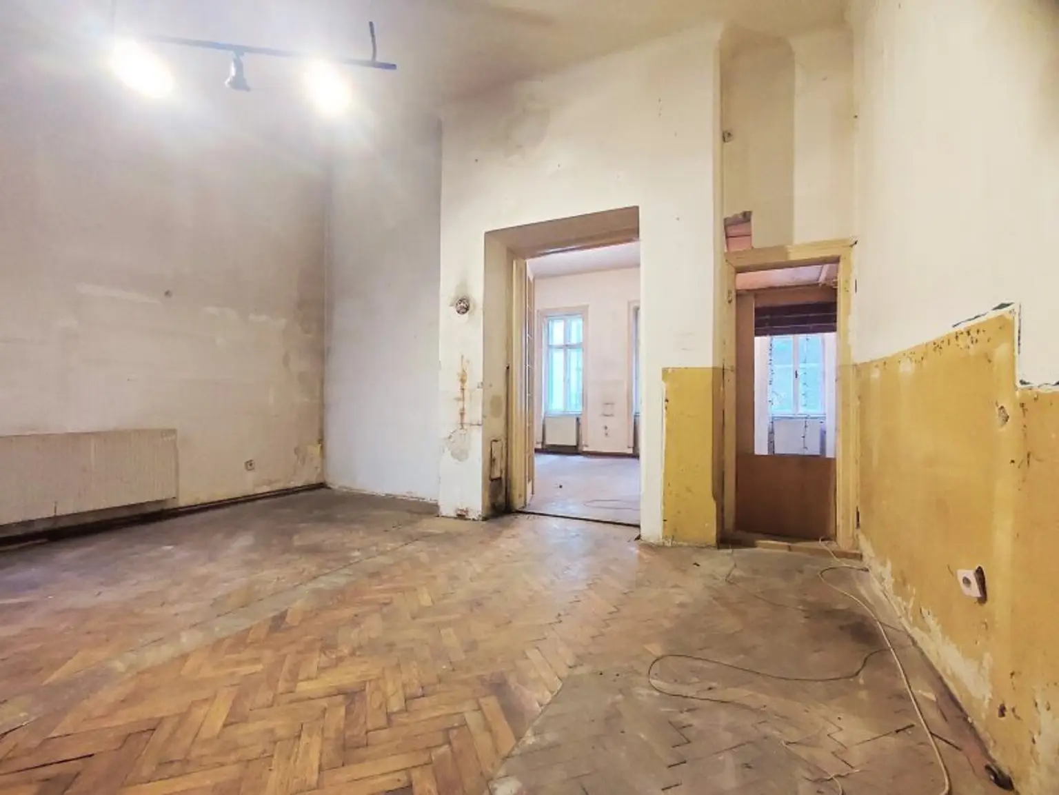 BLICK INS GRÜNE - Sanierungsbedürftiger Altbau in Hofruhelege!