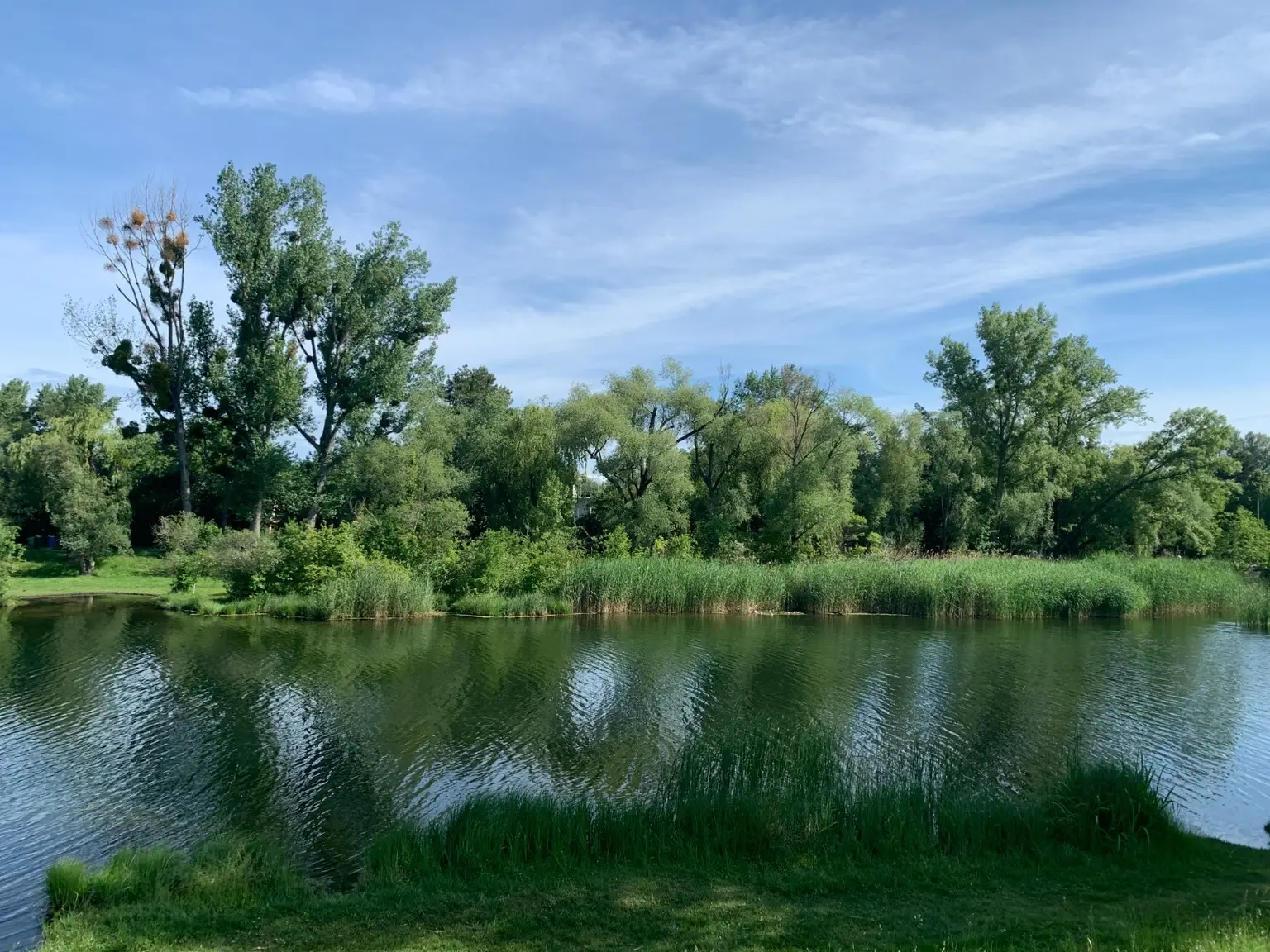 Exklusives Grundstück in Traumlage am Mühlwasser