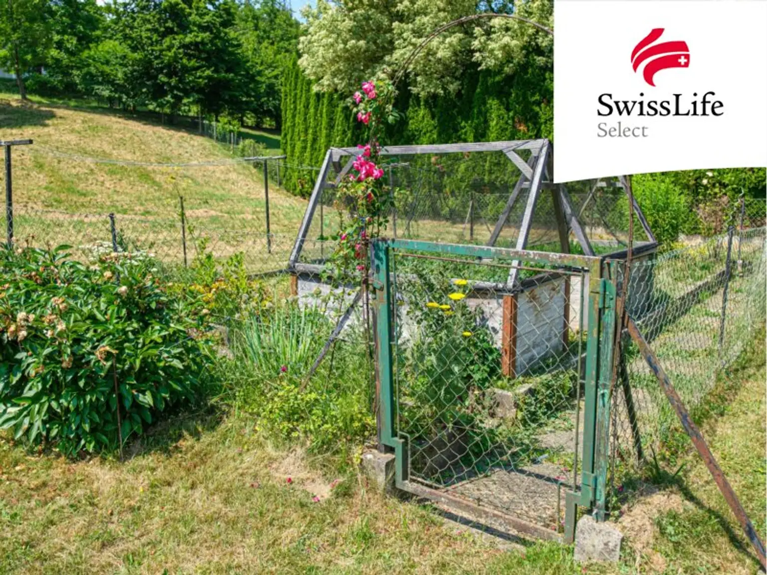 ehemaliger Bauernhof bei Gleisdorf | viel Platz für viele Möglichkeiten | 5.000 m2 Bauland (WA 0,2-0,4)