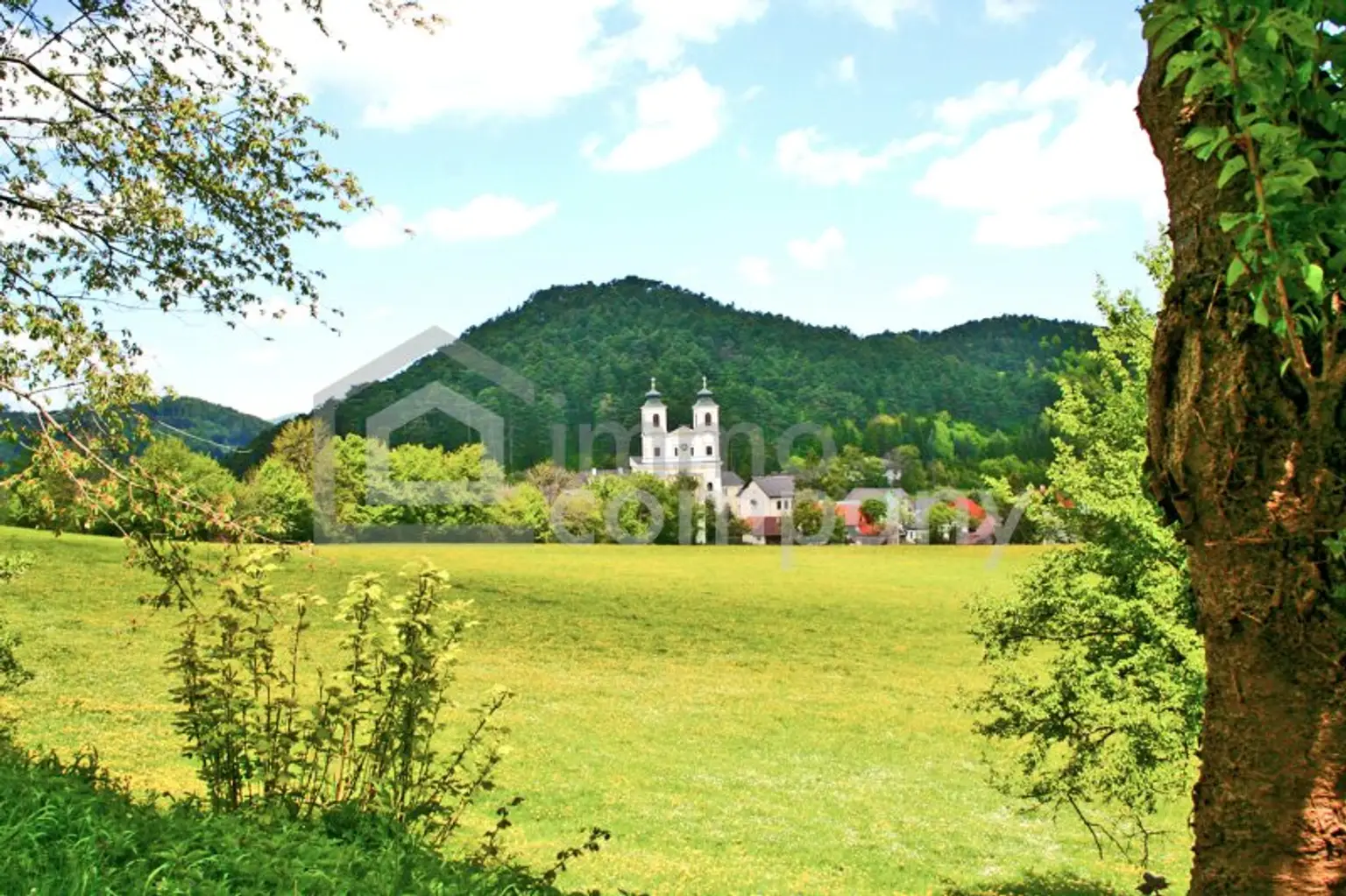 Uriges Landhaus - Traumlage - plus  Pool - Grundfläche 1.594 m² - Renovierung und Schönheitsreparaturen sind erforderlich, dennoch sofort beziehbar!