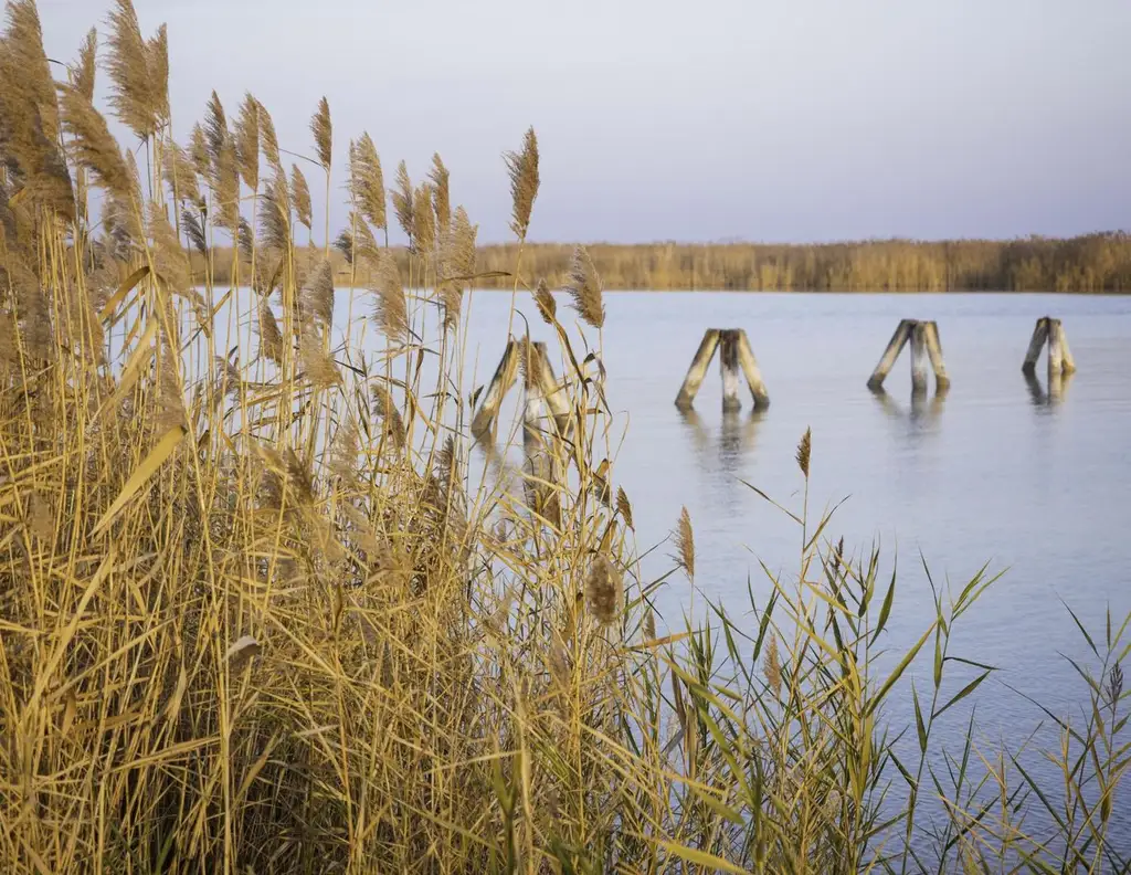 "The Lagoon" - Modern - Nachhaltig - Elegant