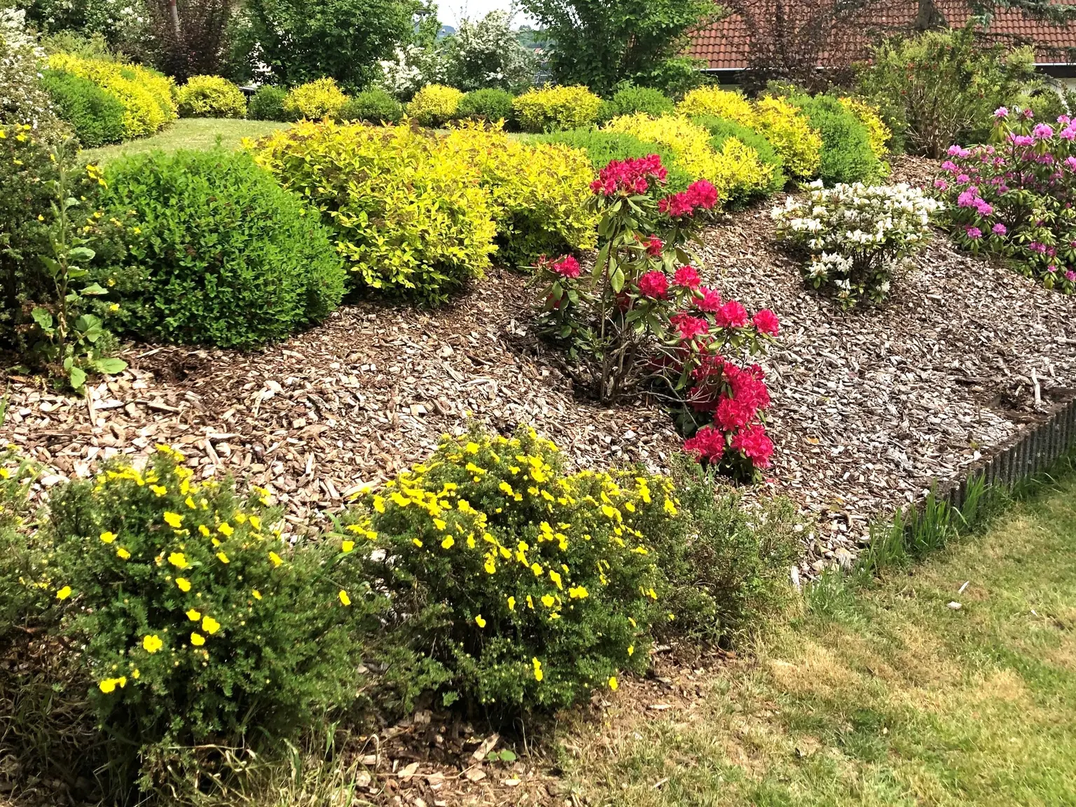 Gartenimpressionen