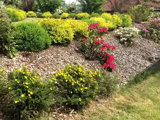 Gartenimpressionen