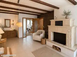Diele mit Kamin EG