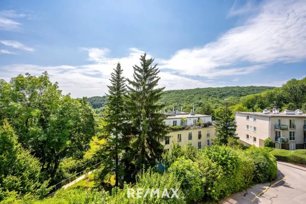 3 Zimmer Wohnung | Pötzleinsdorf | Grünruhelage | Fernblick