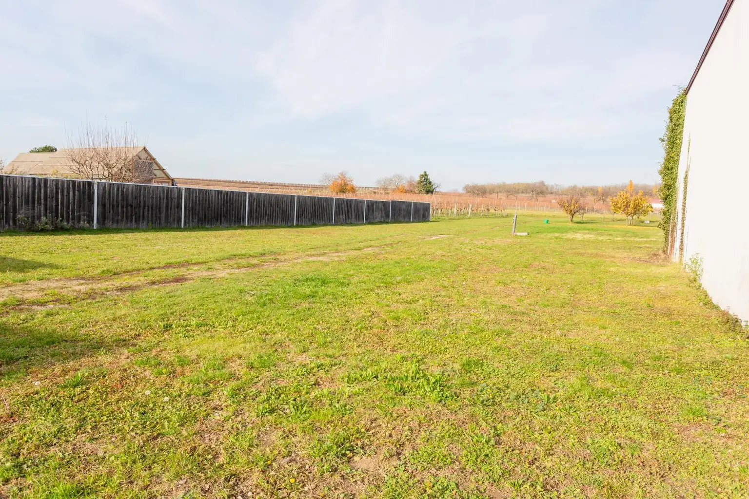 Blick Garten