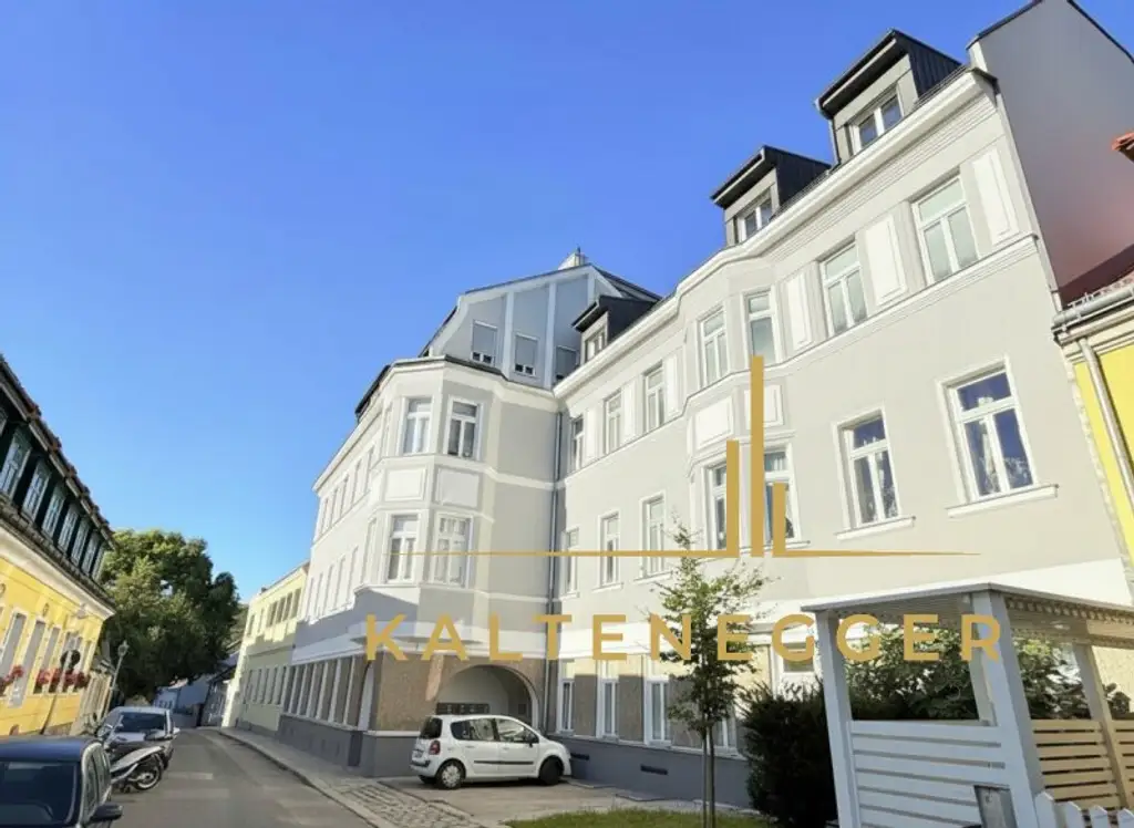 Nussdorf: Premium-Dachgeschoss mit Galerie und Loggia auf Gründerzeithaus – Erstbezug