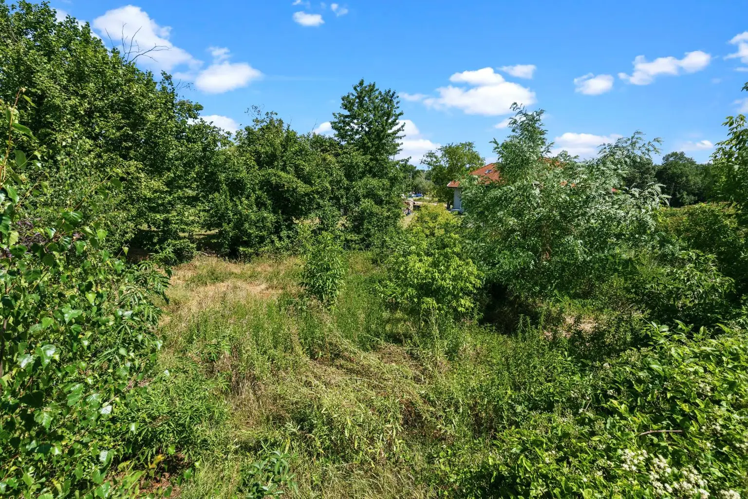 2262-Stillfried-Gänserndorf_4
