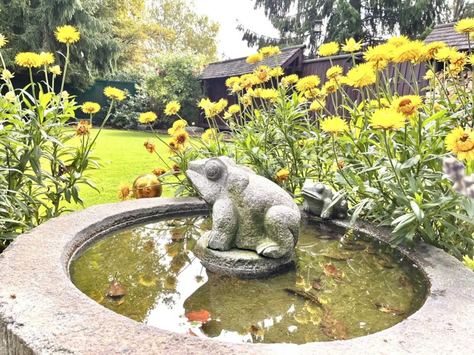 Charmantes Eckreihenhaus am Froschberg – mit Traumgarten, Doppelgarage & Salettl (im Alleineigentum!)