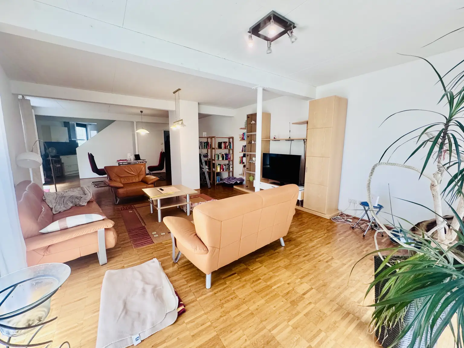 Modernes Einfamilienhaus mit 134 m² Wohnfläche in Ruhelage am Marchfeldkanal