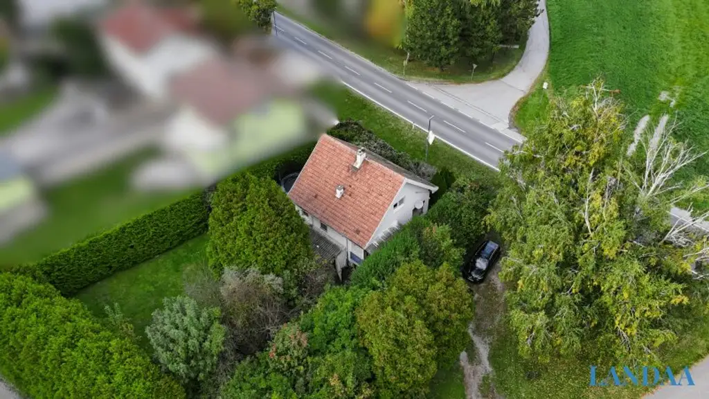 Einfamilienhaus im Grünen