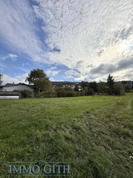 SONNE, WEIN & WEITBLICK – 735 m² BAUGRUNDSTÜCK DIREKT AM WEINGARTEN IN KLOSTERNEUBURG ZU KAUFEN!