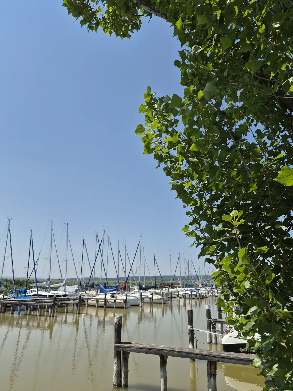Attraktives Investment - 41 m² Wohnung mit Balkon mit Blick zum Neusiedler See – entspanntes Wohnen im Grünen und die Vorzüge einer lebendigen Region mit hohem Freizeitwert