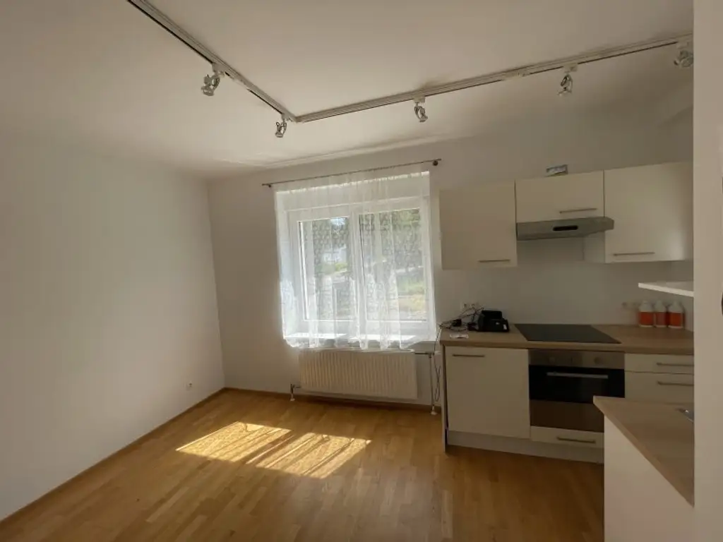 NEU SANIERTES EINFAMILIENHAUS ++ 5 ZIMMER ++ ROHDACHBODEN ++ NEBENGEBÄUDE ++ 1.000 m² GRUND