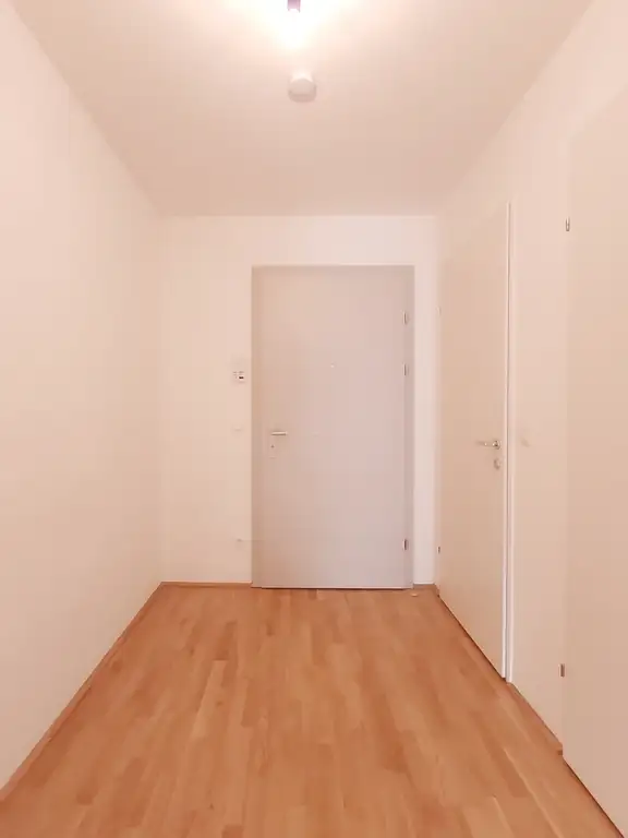 Eingansbereich I