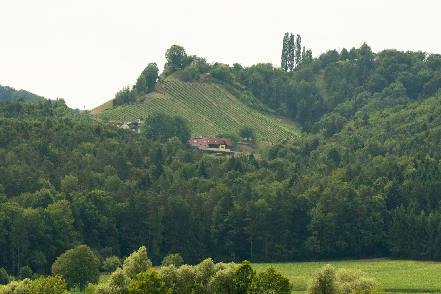 "Privates Paradies mit Panorama – 5 Hektar Freiheit & ein Zuhause zum Verlieben"