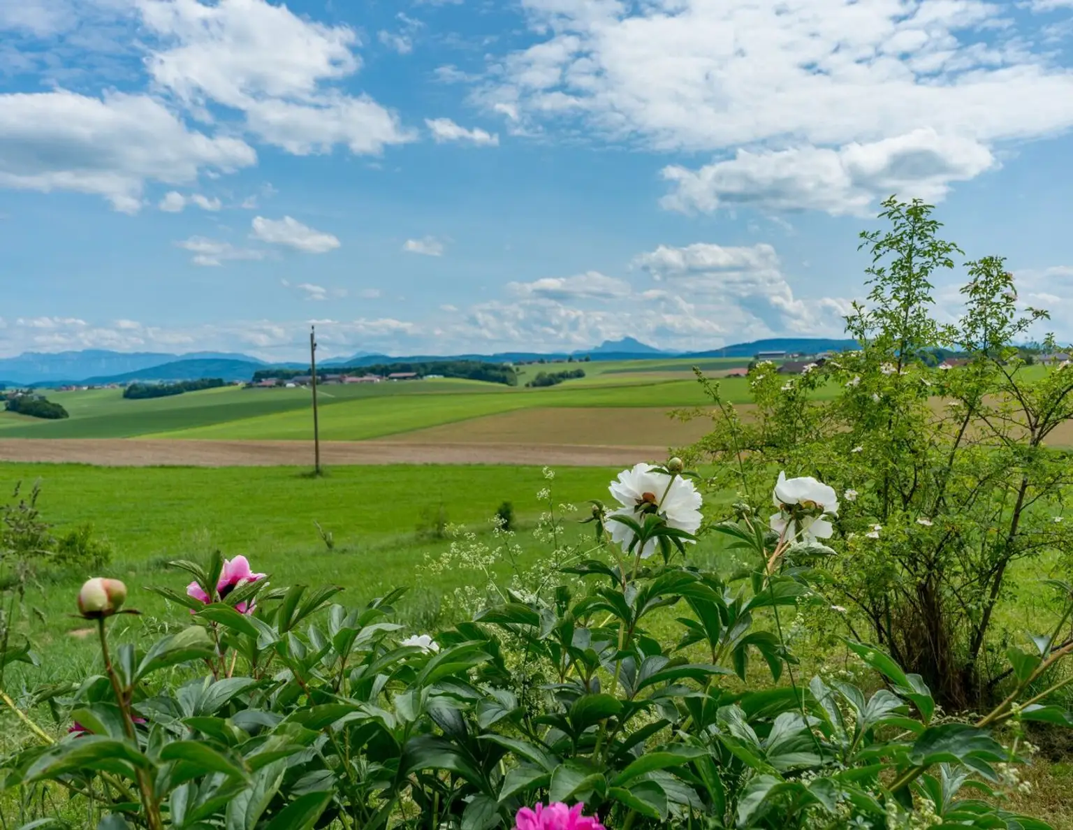 Stilvolles Landhaus mit historischem Charme und modernem Wohnkomfort