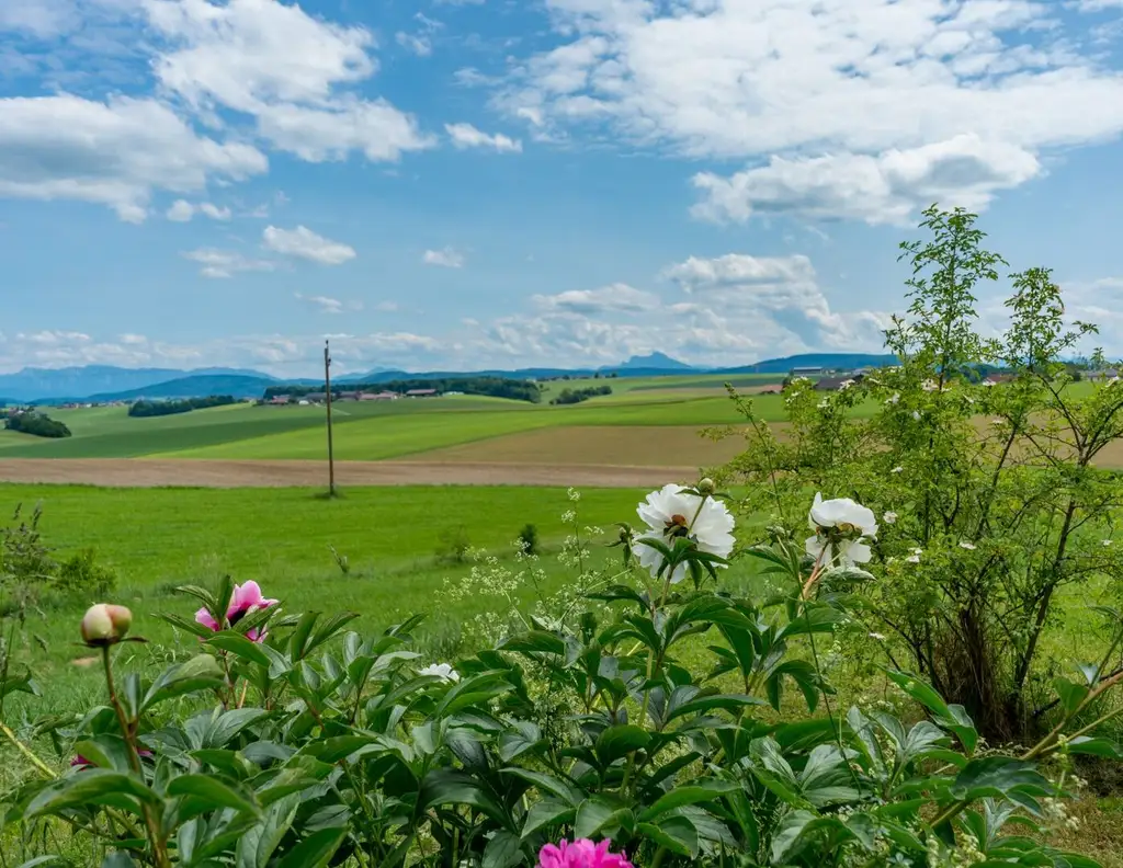 Stilvolles Landhaus mit historischem Charme und modernem Wohnkomfort