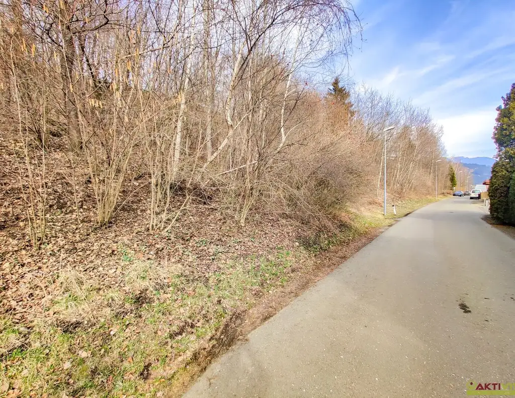 Großzügiges Baugrundstück mit Potenzial. - Verkauf auch in Teilflächen möglich und bis zu 1.450 m² Bruttogeschoßfläche realisierbar.