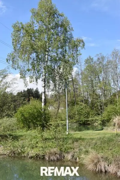 Videoüberwachung
