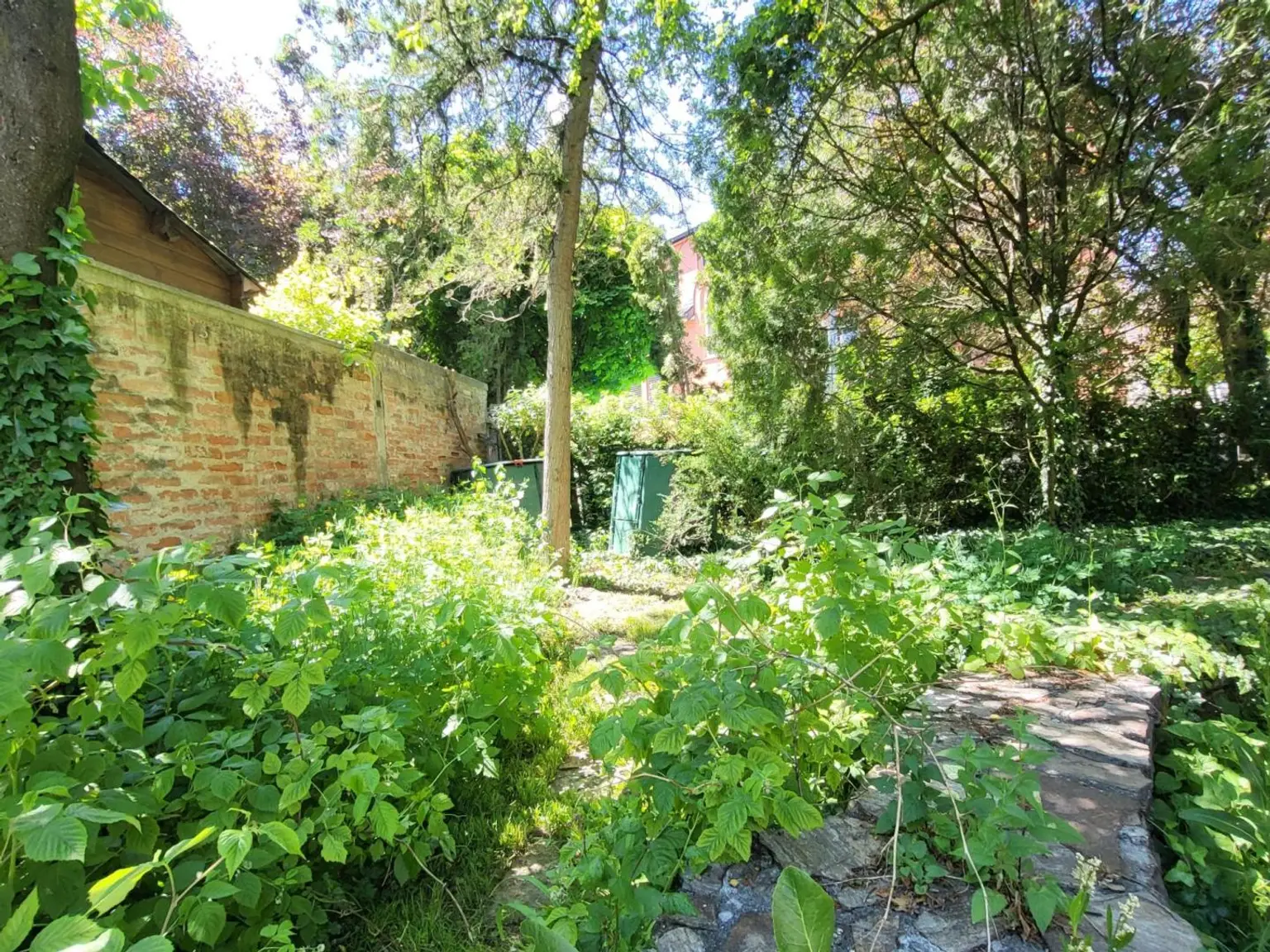 14 Naturgarten
