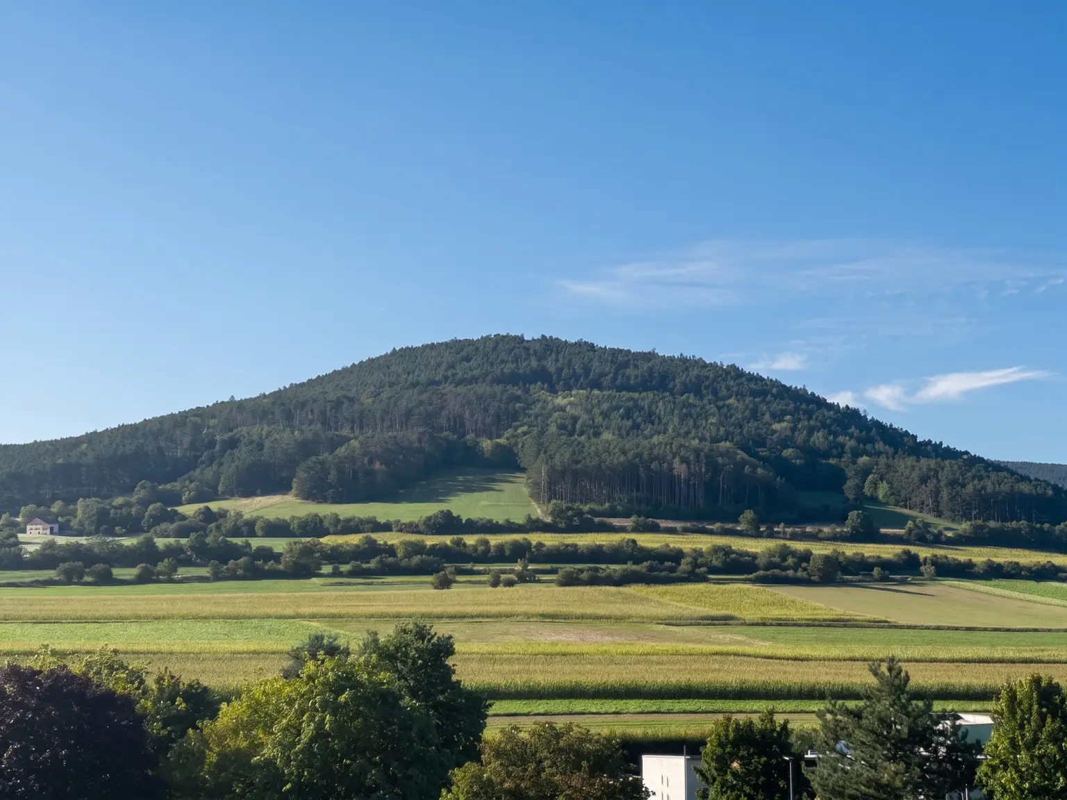 Ihre Liegenschaft am Fuße des Gfieders