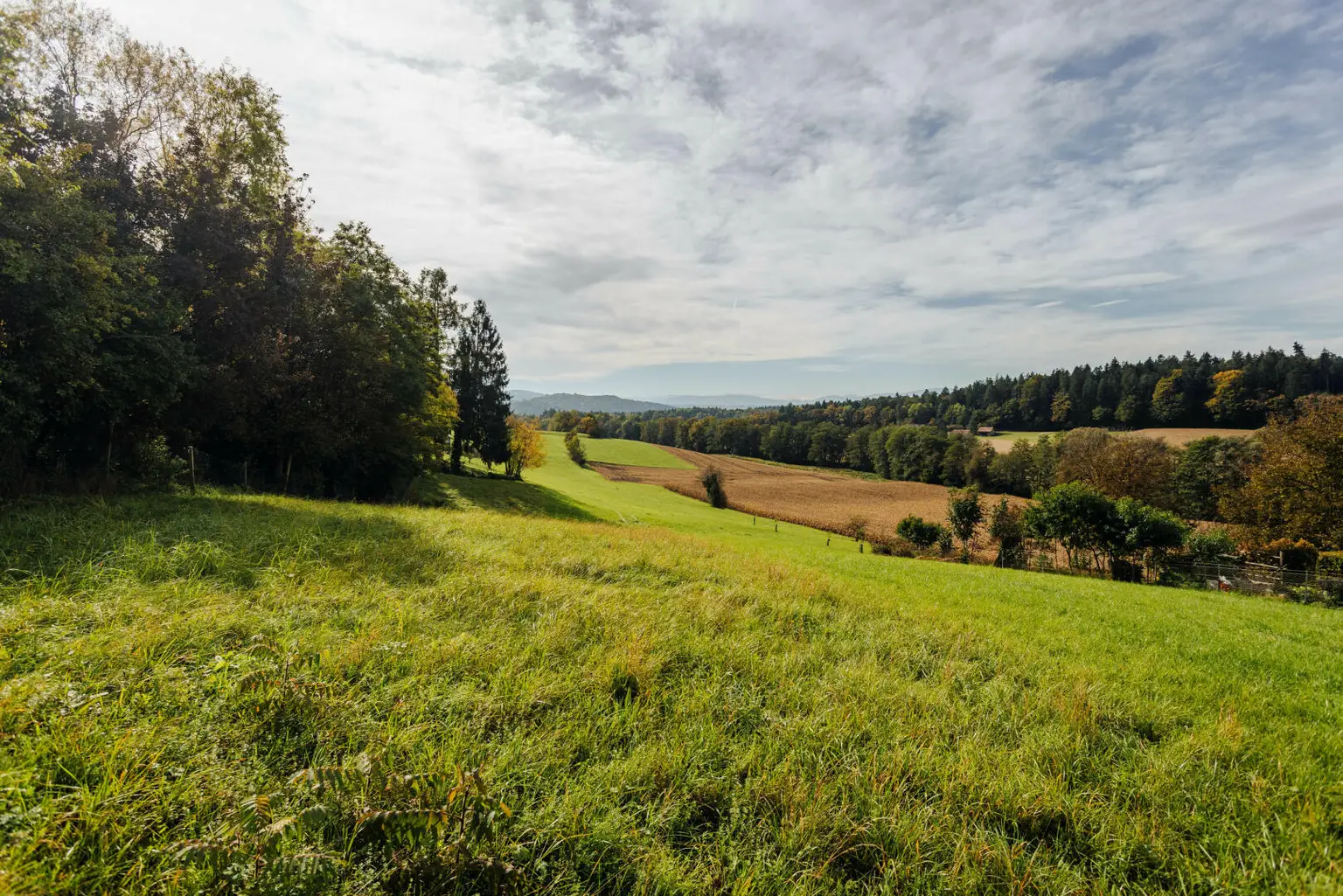 Baugrund mit altem Gebäude und Bauerwartungsland mit Weganteil im Zentrum von Hengsberg