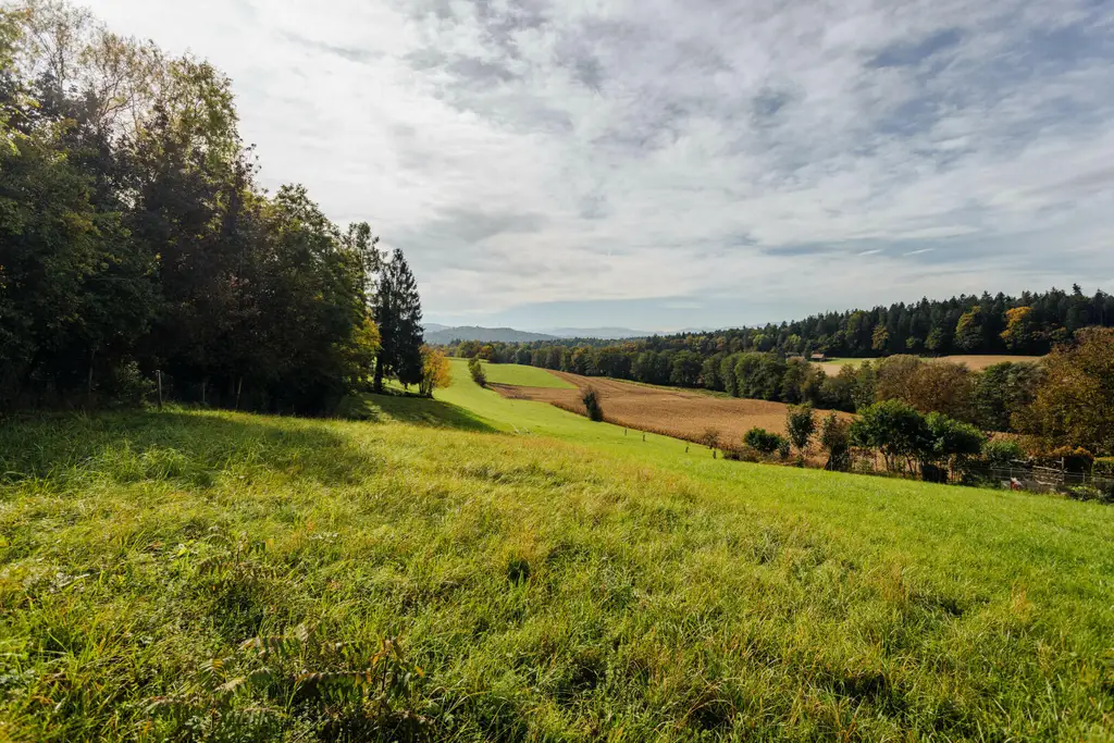 Baugrund mit altem Gebäude und Bauerwartungsland mit Weganteil im Zentrum von Hengsberg
