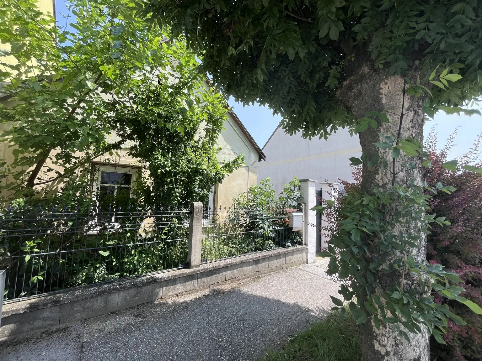 Grundstück mit Altbestand