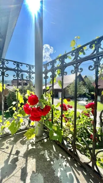 MIETE: Pferdeliebhaber aufgepasst!