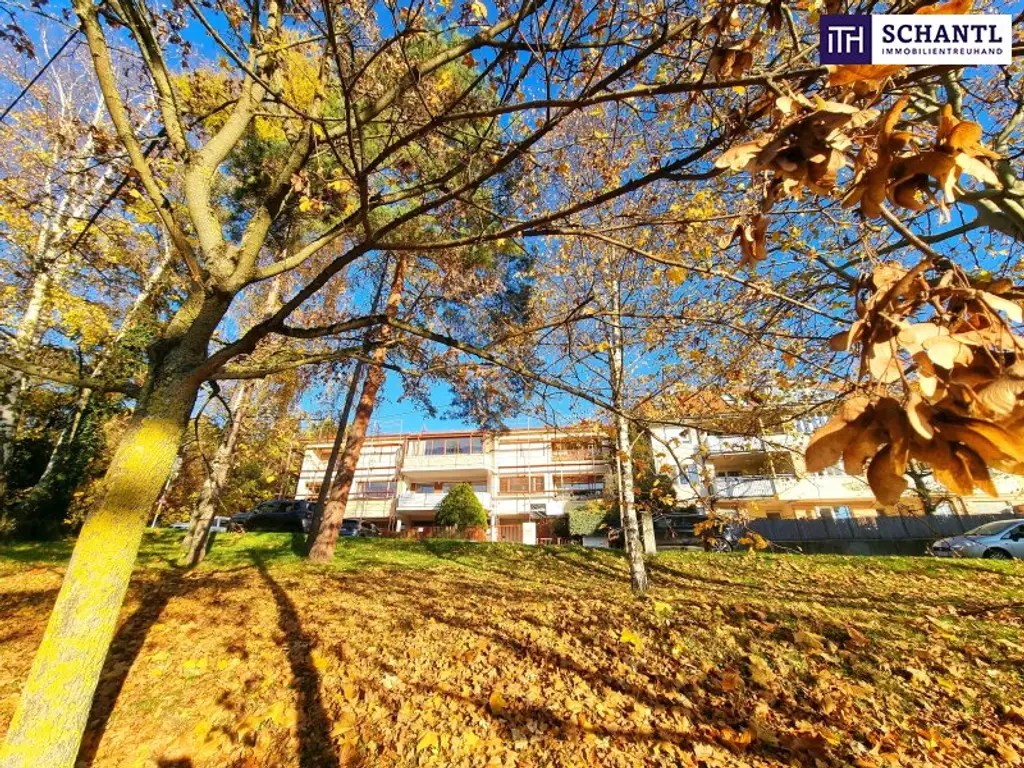 Ruheoase im Grünen! Sonnig. Saniert. Einfach super! Erstbezug mit Wohlfühlfaktor! 4 Zimmer + 2 Balkone + Garagenplatz + Hochwertige Einbauküche! Grün wohin das Auge reicht!