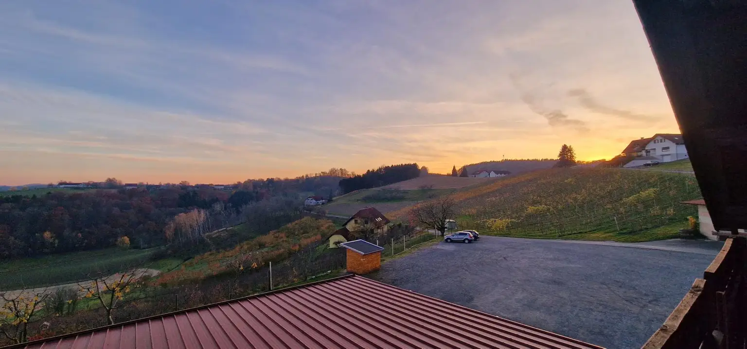 Großes Haus für Visionäre in Aussichtslage (Buschenschank, Weingärten)