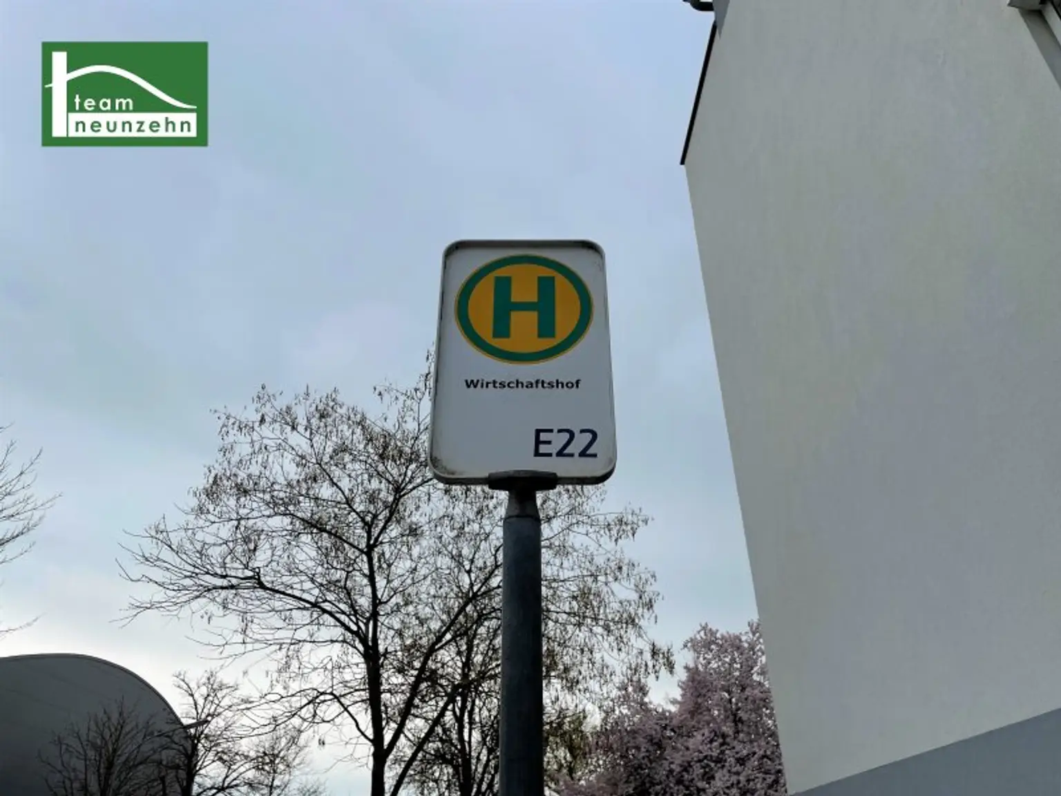 Wiener Neustadt – wo urbanes Leben und Natur harmonisch verschmelzen