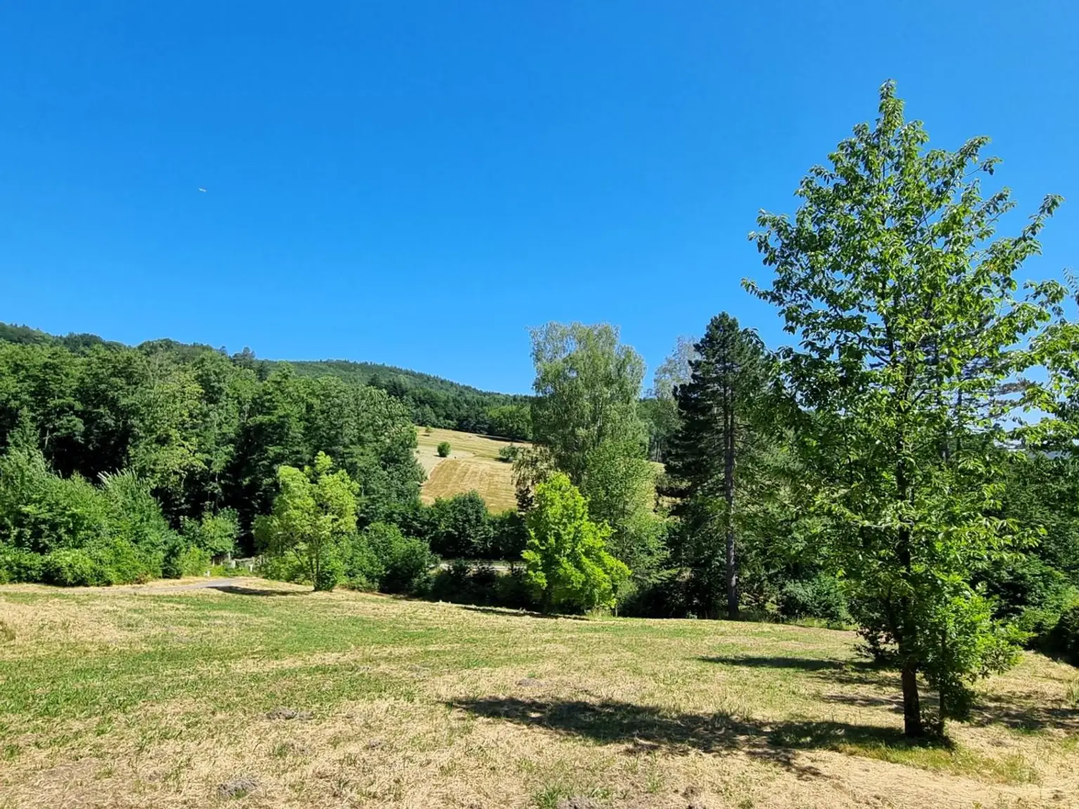 RARITÄT - IDYLLE PUR!! LANDHAUS MIT AUSBLICK IN SONNIGER RUHELAGE