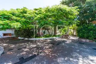 Finca-Guia-de-Isora-xxx-Tenerife-25