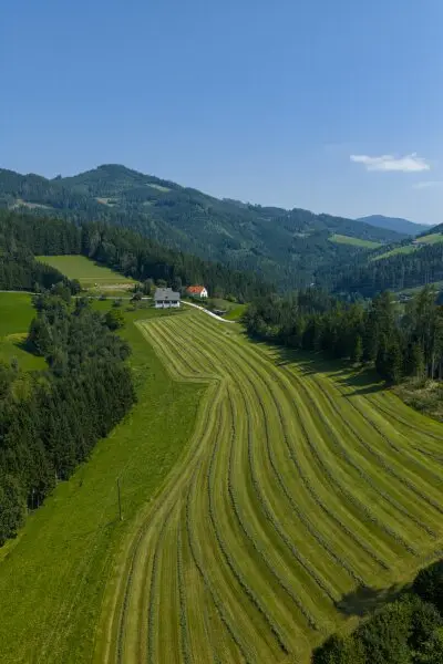 Pferdehof mit Panoramalage in Knittelfeld