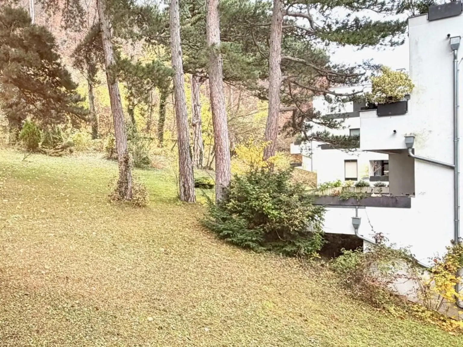 Grünruhelage! Geräumige 4 oder 5 Zimmer-Wohnung mit Loggia & Indoor-Pool