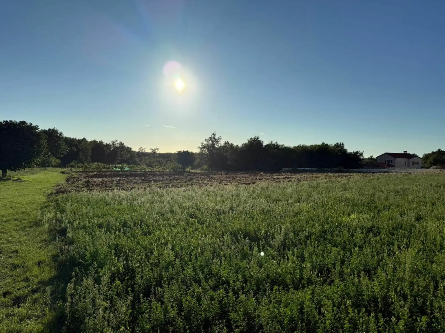 Kroatien-Istrien: Tolle küstennahe Baugrundstücke in traumhafter Naturlage