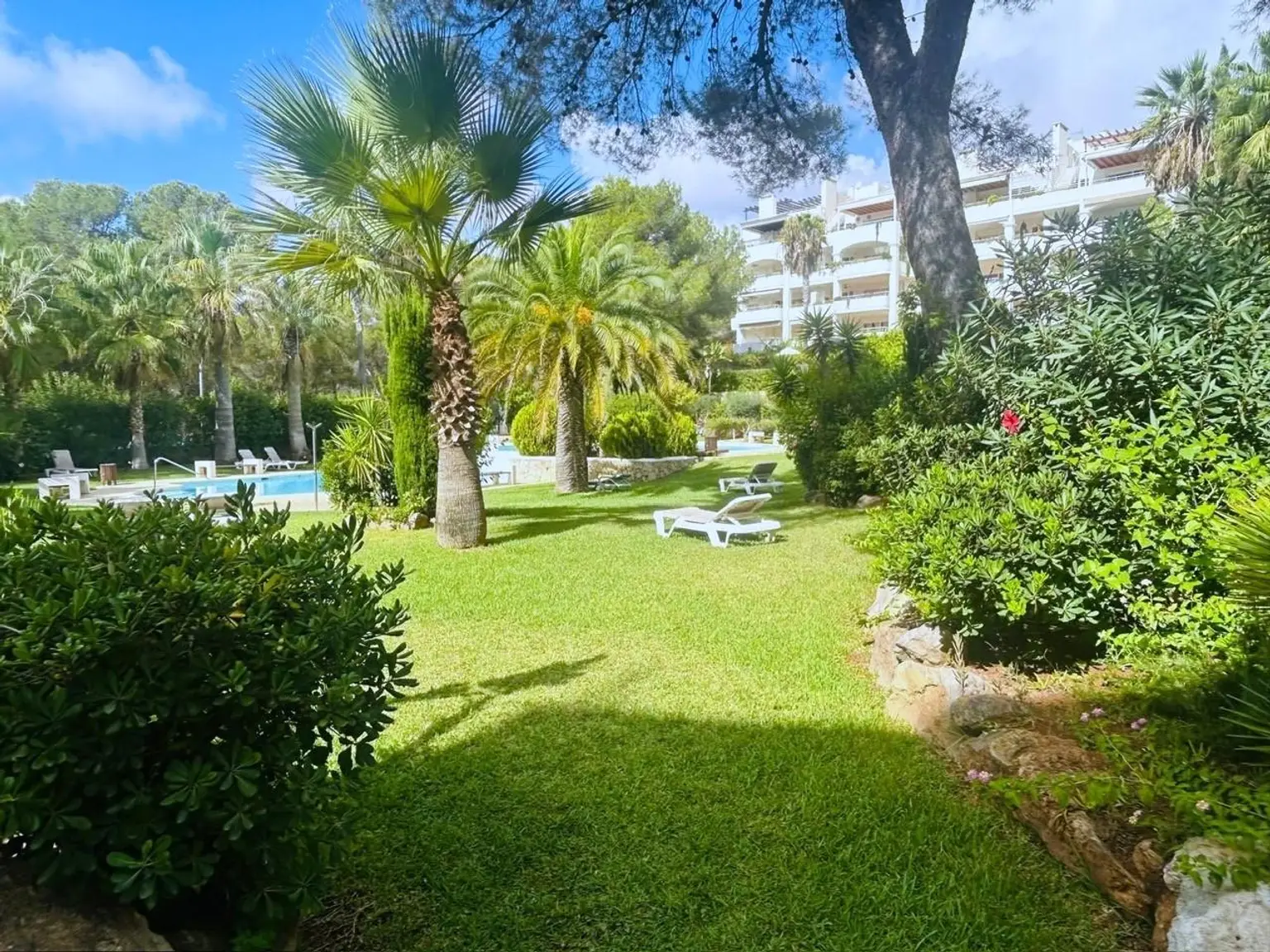 La Joya - Los Corales