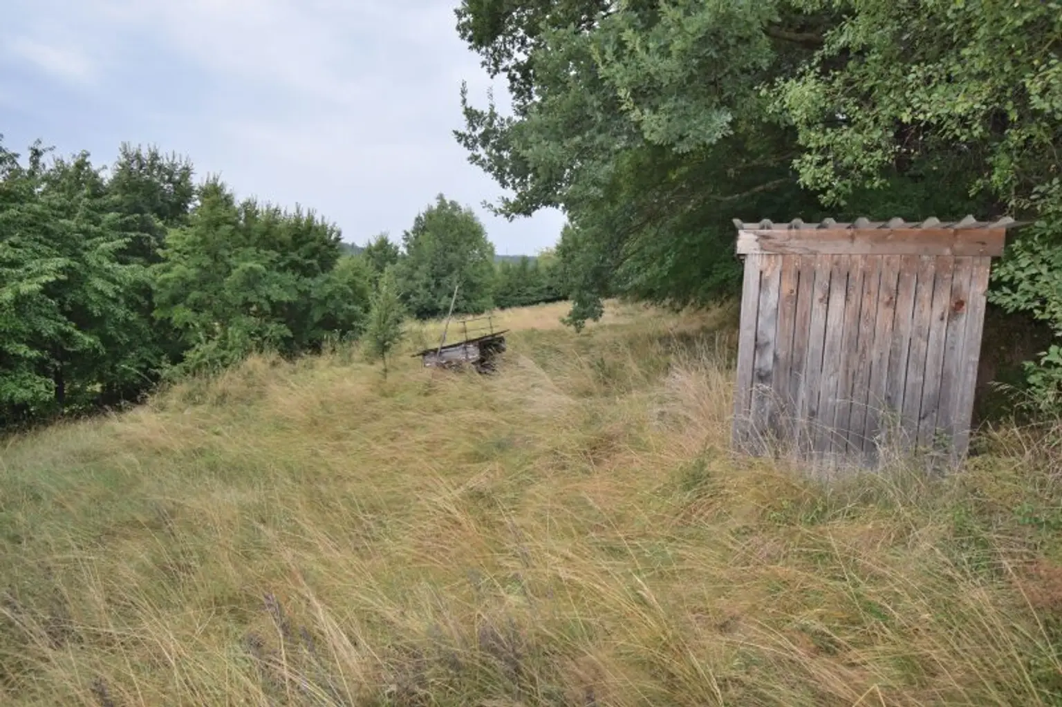 Bastlerhit: Haus mit landwirtschaftl. Flächen