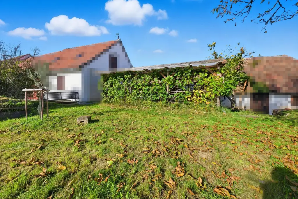 Weinkultur erleben im Ort für Genießer – Weinkeller, Presshaus & Weingarten vereint